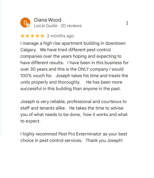 google review from Diana Wood