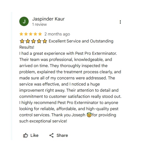 google review from Jaspinder