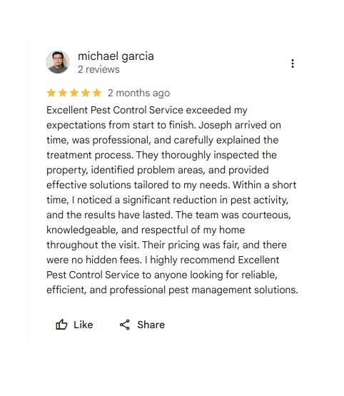 google review from Micahel Garcial